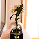 Flora Chiado *