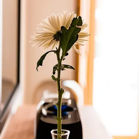 芙洛拉希亚多公寓 *