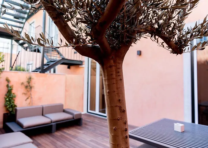 فلورا تشيادو Lisboa