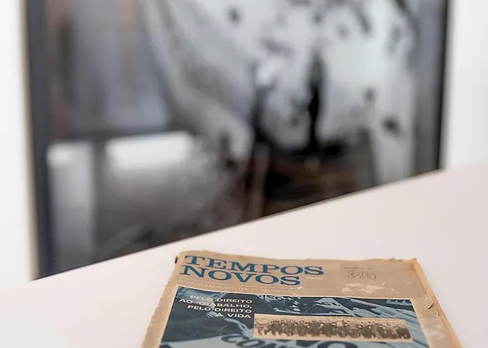 فلورا تشيادو *